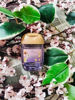 Imagen de Bath & Body works Gel Antibacterial Varios